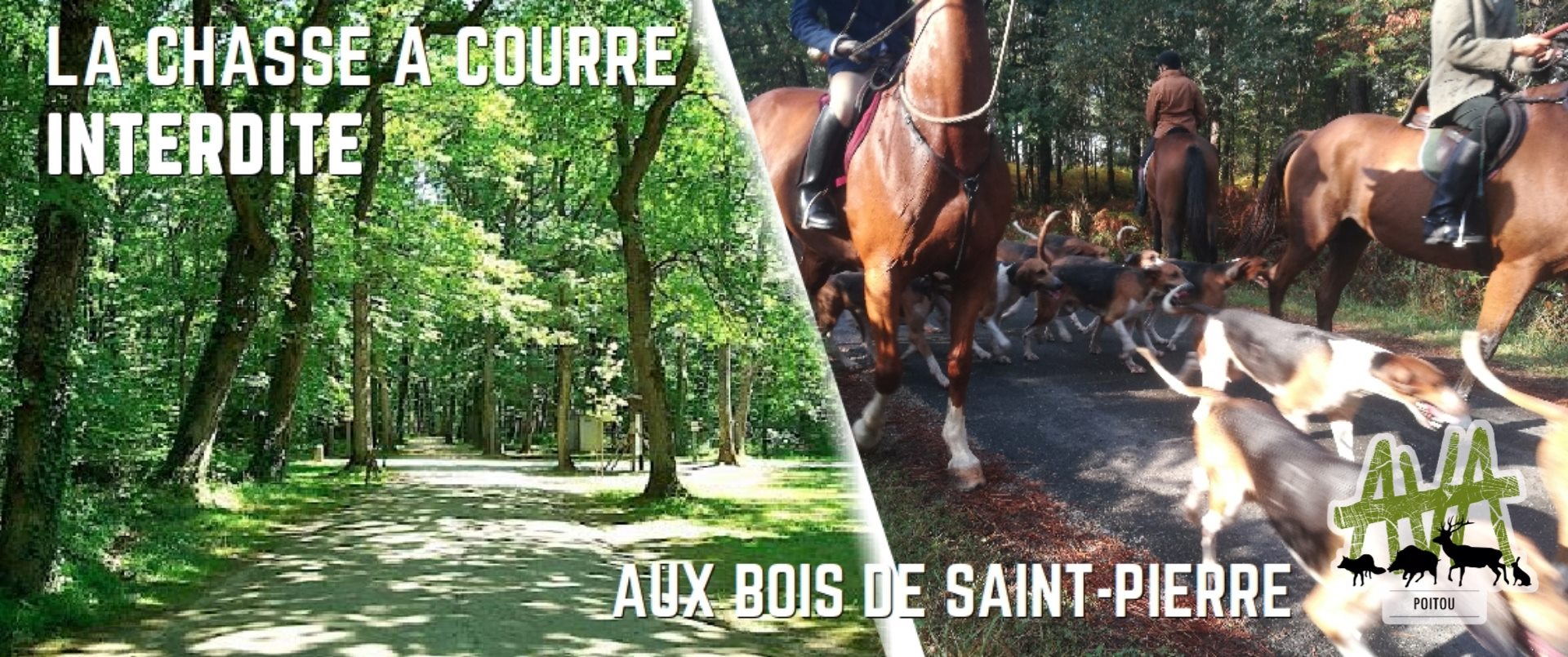 Victoire : la chasse à courre interdite aux Bois de Saint-Pierre (86)