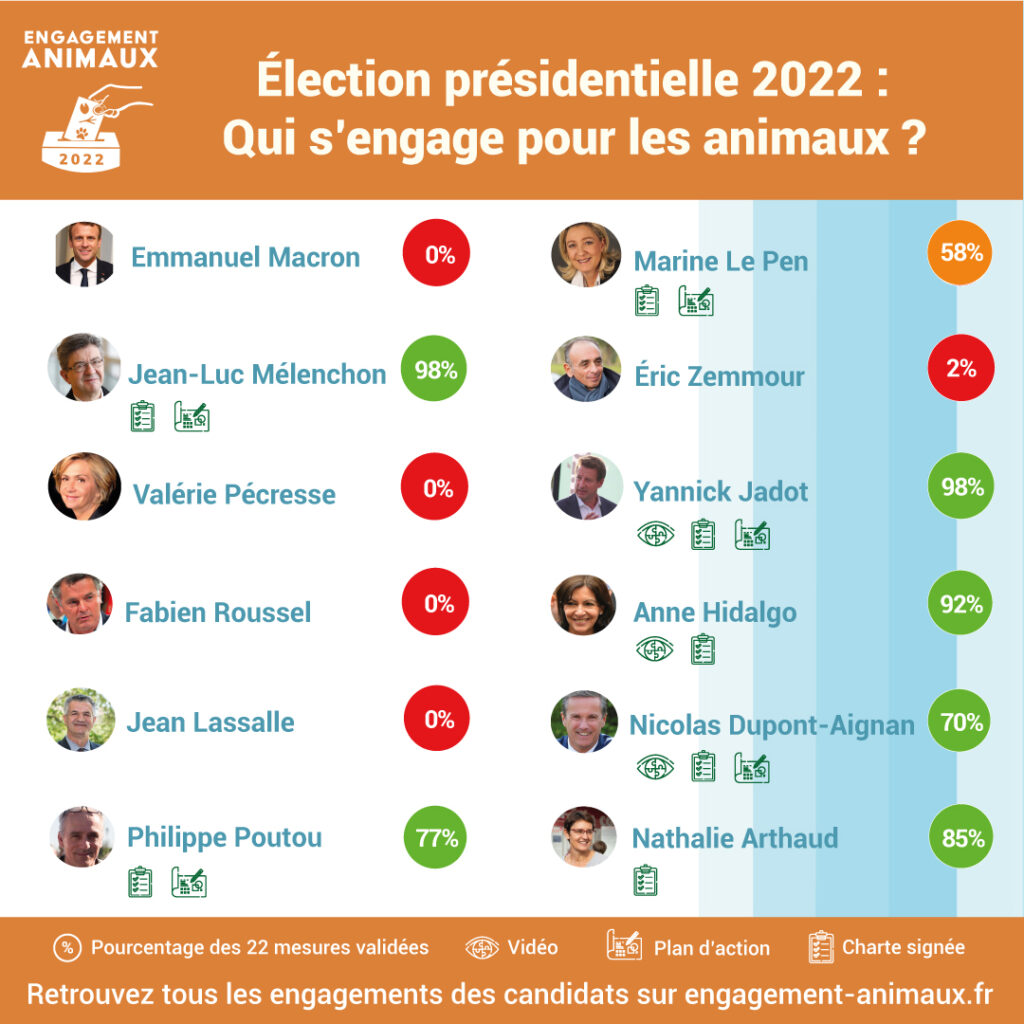 infographie candidat carré 8 avril