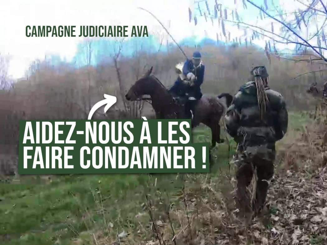 Faisons condamner la chasse à courre !